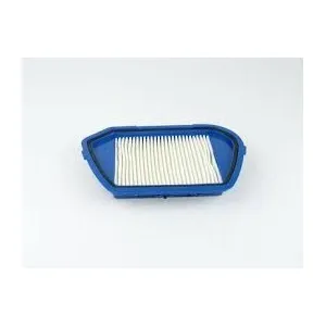 Moulinex FILTRE HEPA ASPIRATEUR COMPACTEO (RS-RT900097) pas cher