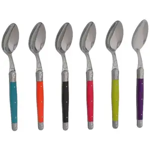 JEAN DUBOST Coffret cuillère de table Tonic Mix Laguiole - lot de 6