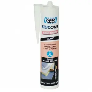 GEB Mastic silicone base aqueuse blanc pas cher