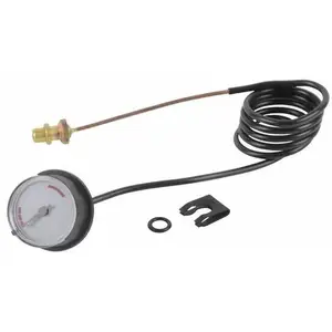 Diff - Manomètre pour Chaffoteaux : 61305005 pas cher