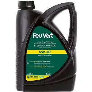 Huile Moteur Feu Vert 948b 5w20 5l pas cher