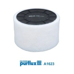 PURFLUX Filtre à air pour AUDI: A5, A4, Q5 (Ref: A1623) pas cher