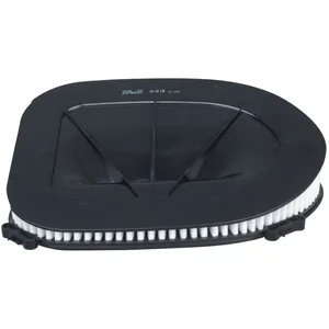 PURFLUX Filtre à air pour BMW: X5, X3, X6 (Ref: A1618) pas cher