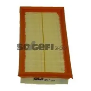 Purflux A517 filtre à air moteur pas cher