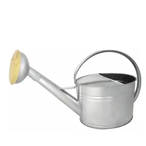 Comparateur de prix : GUILLOUARD - Arrosoir en acier galvanisé avec pomme et grille en laiton 6 litres