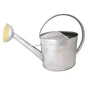 Comparateur de prix : GUILLOUARD Arrosoir en acier galvanisé avec pomme et grille en laiton 13 litres