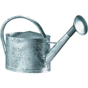 Comparateur de prix : Guillouard - Arrosoir acier galvanisé avec pomme 6 litres