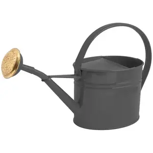 Comparateur de prix : Guillouard Arrosoir en acier galvanisé avec pomme 1.75 litres