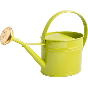 Comparateur de prix : GUILLOUARD - Arrosoir en acier galvanisé avec pomme 1.75 litres vert olive