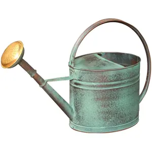 Comparateur de prix : Guillouard - Arrosoir vert vieilli avec pomme 4 litres