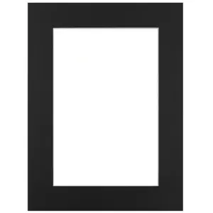 Comparateur de prix : BRIO Passe-partout noir 50x70 cm ouverture 40x50 cm, en carton - fabriqué en France