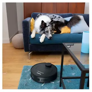 Rowenta X-plorer Serie 75 RR7675WH Animal - Aspirateur robot - noir pas cher