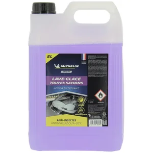 MICHELIN EXPERT 009358 LAVE-GLACE TOUTES SAISONS -20°C, ANTI-INSECTES, pas cher