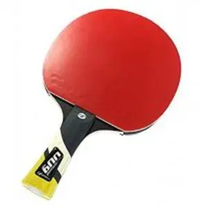 CORNILLEAU Raquette Tennis de Table Ping Pong Bois Perform 600 pas cher