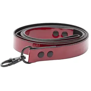 Dorcel Laisse BDSM Vernie pas cher