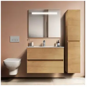 Ideal Standard Eurovit+ Vasque avec meuble bas, 2 tiroirs, R0574Y8, pas cher