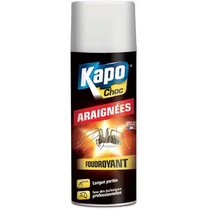 Comparateur de prix : KAPO Insecticide aérososol anti-araignées - Choc - longue portée - 400 mL