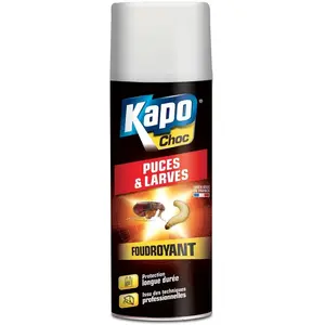 Comparateur de prix : KAPO K.PRO Choc - Spray Aérosol Foudroyant Puces et Larves