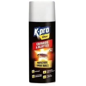 Comparateur de prix : KAPO Insecticide aérososol anti-cafards blattes - Choc - 400 mL