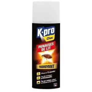 Comparateur de prix : Aérosol foudroyant spécial punaises de lit 400ml KAPO Choc