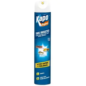 Comparateur de prix : KAPO Insecticide aérosol multi-usages - tous insectes - 500 mL