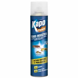 Comparateur de prix : KAPO Insecticide aérosol multi-usages - tous insectes - 300 mL