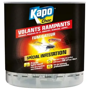 Fumigateur Kapo Choc - Pour 340 m³ pas cher