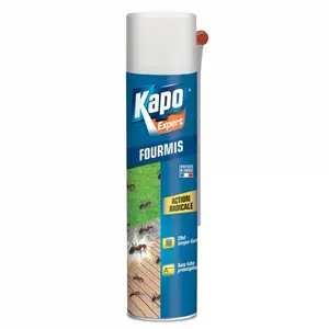 Comparateur de prix : Aérosol Spécial Fourmis 400ml KAPO Expert