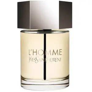 Comparateur de prix : Yves Saint Laurent L'Homme Eau de Toilette 100ml