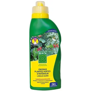 BHS Engrais plantes vertes liquide - 1 L pas cher