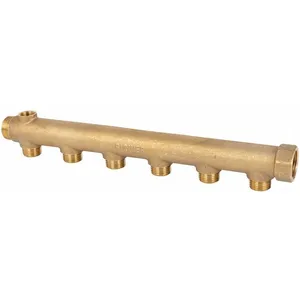 ECOLANDS Collecteur 6 sorties - MF 3/4' - M 1/2' - Avec prise de purge...