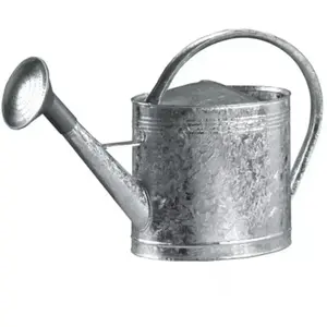 Arrosoir en acier galvanise - 13 litres, avec pomme Forges De Magne 388412 pas cher