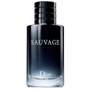 Sauvage - Eau de Toilette-60ml Dior pas cher