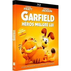 SPHE Garfield : Héros malgré lui Blu-ray pas cher
