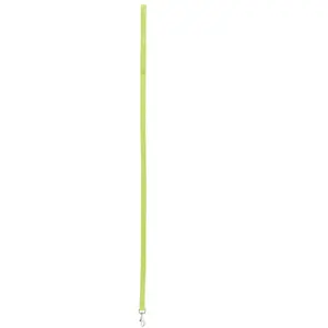 Zolux Laisse nylon xl 60cm anis pas cher