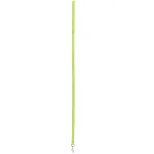 Laisse Nylon 1 Mètre 15mm - Anis pas cher