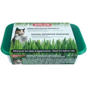 Herbe à chat dépurative naturelle à faire pousser/ZOLUX pas cher