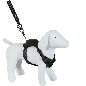 Zolux - Harnais et Laisse Enrouleur intégré XS Noir pour Petit Chien Max 9 kg pas cher