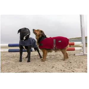 Comparateur de prix : Couverture pour chien en nylon Diego & Louna Teddy Bleu 26 cm 409031726
