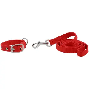 Collier et laisse pour chien Riding World Oscar Rouge 30 cm 409057330 pas cher