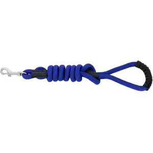 Laisse pour chien avec poignée Riding World Lucky Bleu 150 cm 40905600... pas cher
