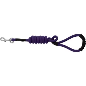 Comparateur de prix : Laisse pour chien avec poignée Riding World Lucky Violet 150 cm 409056...