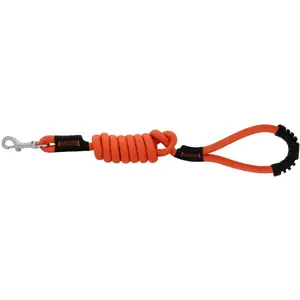 Laisse pour chien avec poignée Riding World Lucky Orange 150 cm 409056...