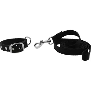 Collier et laisse pour chien Riding World Oscar Noir 30 cm 409057230 pas cher