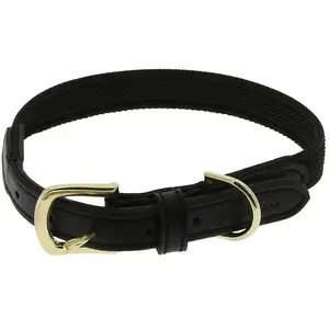 Collier pour chien Equithème Nala Noir 30 cm 409051230 pas cher