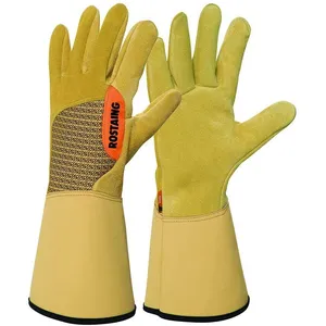 Comparateur de prix : Gants de protection RONCIER épines et ronces - Taille 9 - Rostaing TU