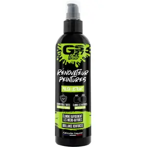 Rénovateur Peintures Gs27 250 Ml pas cher