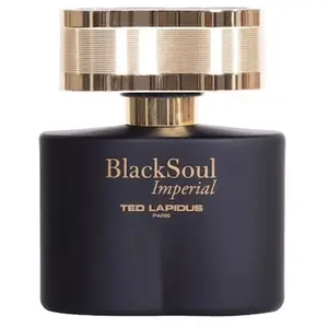 Ted Lapidus - BLACK SOUL IMPERIAL Eau de toilette 30 ml male pas cher
