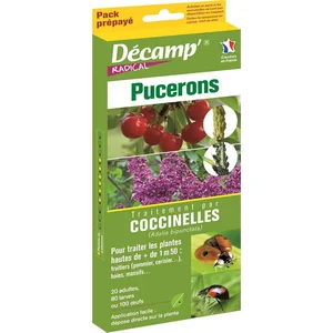 DECAMP' Traitement par Chrysopes - DECAMP - Pucerons - 250 larves ou 500 oeufs pas cher