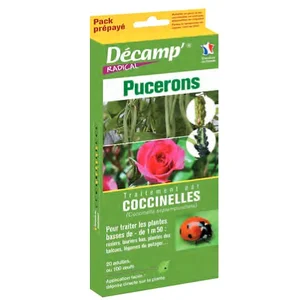 Traitement par Coccinelles - DECAMP' - Pucerons - Pour les plantes hau... pas cher